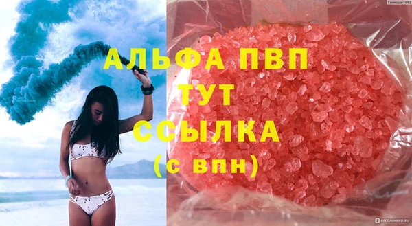 гидра Михайловка