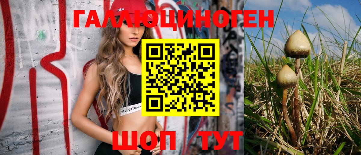 Псилоцибиновые грибы мицелий Ленинск-Кузнецкий