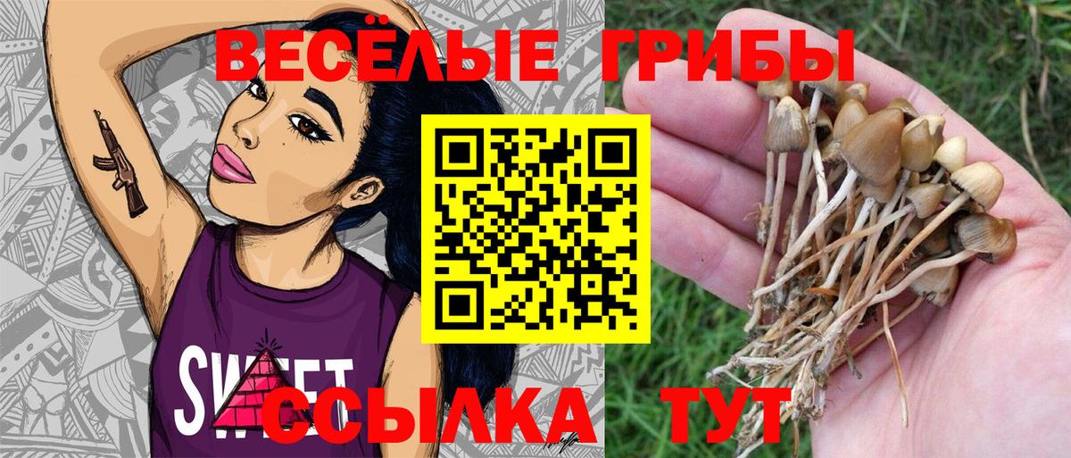 Псилоцибиновые грибы MAGIC MUSHROOMS  Ленинск-Кузнецкий 