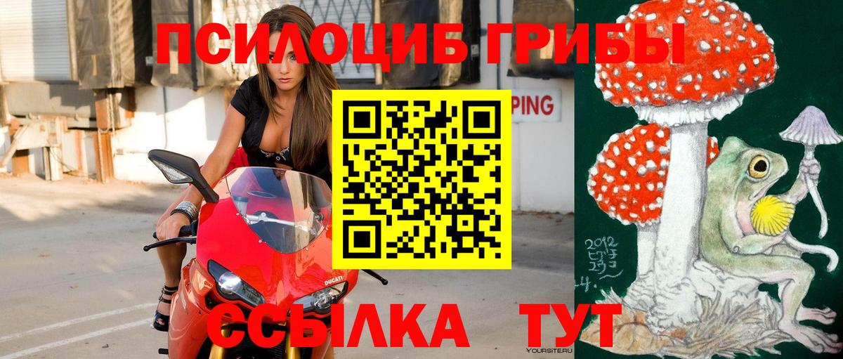 Галлюциногенные грибы мухоморы  Псилоцибиновые грибы MAGIC MUSHROOMS  Вход с VPN  Ленинск-Кузнецкий 